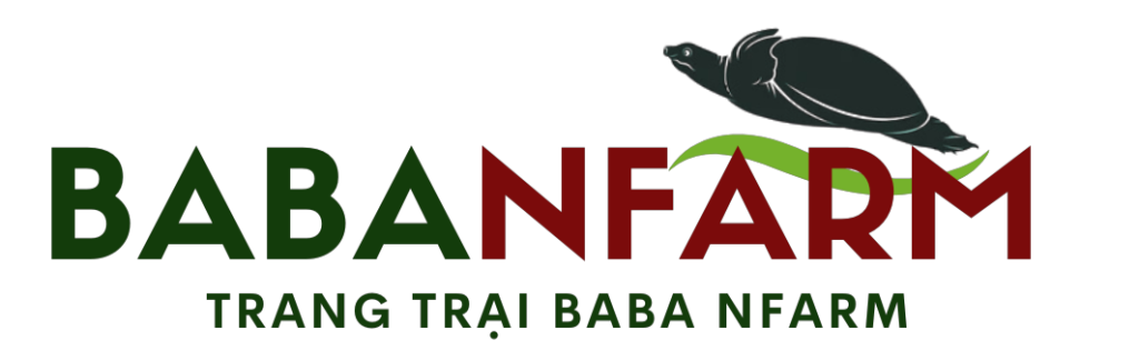 Mẫu web tạp hóa